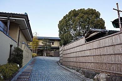 《动物迷城》新试玩版即将上线，扮演动物囚犯逃出牢笼！